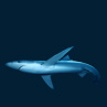 Голубая акула