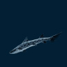 Леопардовая акула