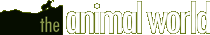 http://www.theanimalworld.ru/img/logo-green.gif